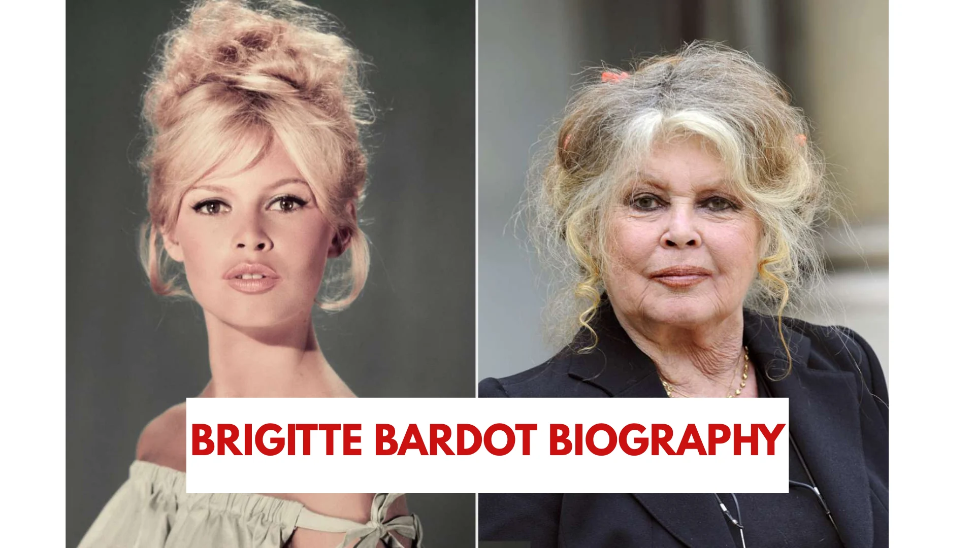 brigitte bardot biography
